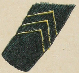 Вышитые значки на рукавахъ: 37 — десять лѣтъ сверхсрочной службы.