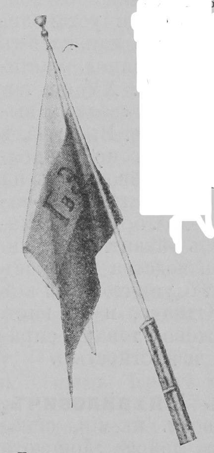 Рис. жалон. значка, воткнутого въ дуло ружья (1866 г.)