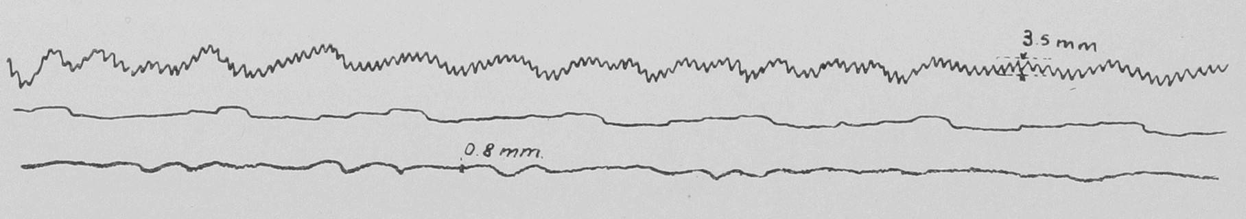 Фиг. 7.Миноносецъ S. 42, 250 оборотовъ.Верхнія кривыя на всѣхъ фигурахъ показываютъ вертикальныя вибраціи, нижнія — горизонтальныя; среднія кривыя — время въ секундах.