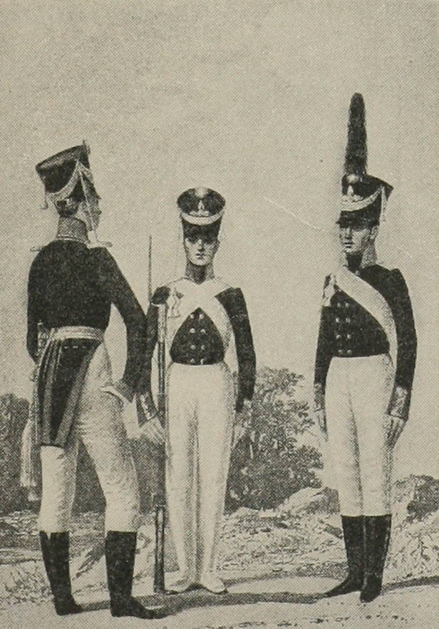 Оберъ-офицеръ, мушкетеръ и гренадеръ дворянскихъ баталіоновъ въ 1809 г.